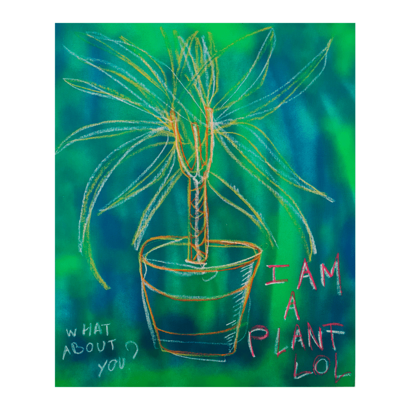 I am a plant LOL